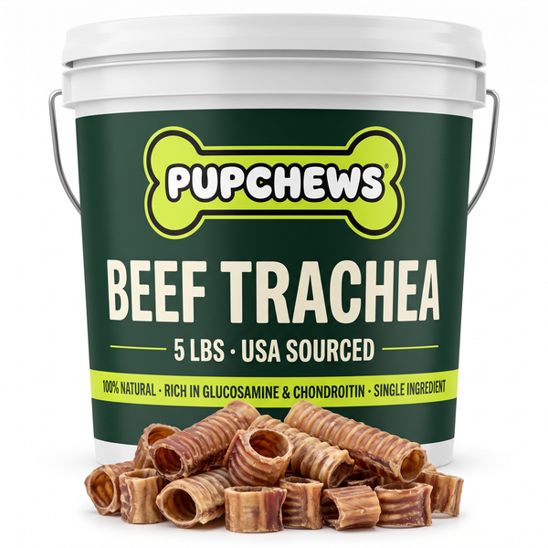 Large chew size guide