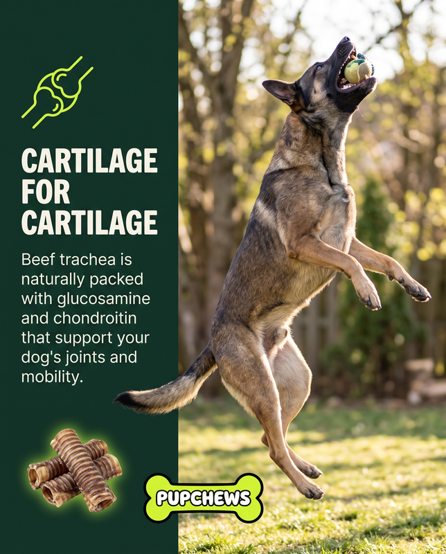 All Natural Dried Beef Trachea & Chiken Feet 10 POUNDS-(5lb each) — image 5